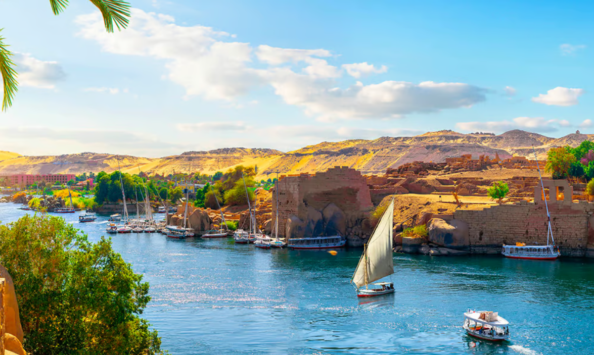 Elegance of the Nile